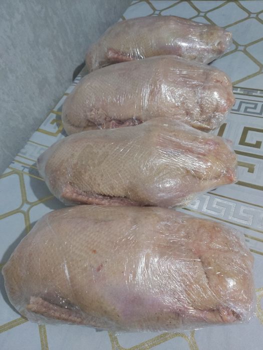 Продам мясо Гуся
