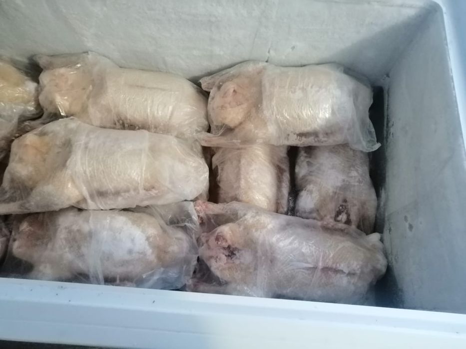 Продам гусей , гусь домашний