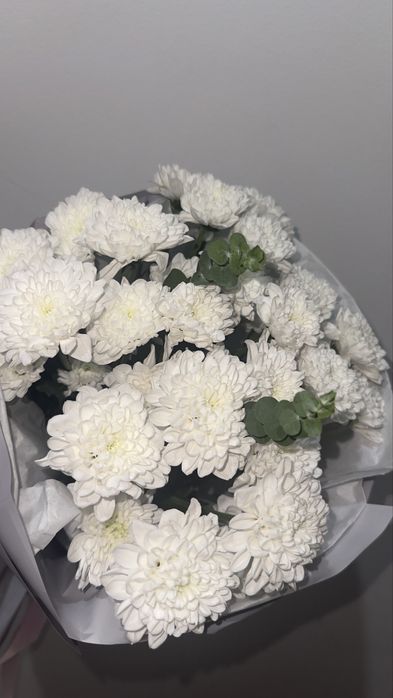 Хризантема свежая