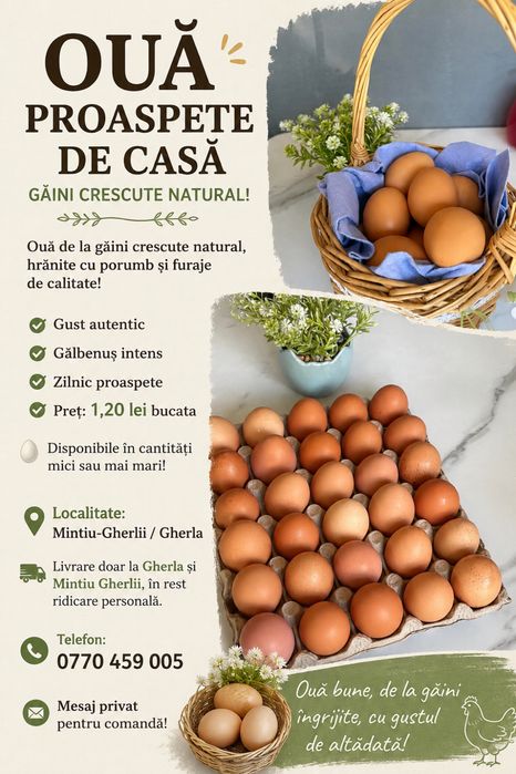 Vand ouă de casă