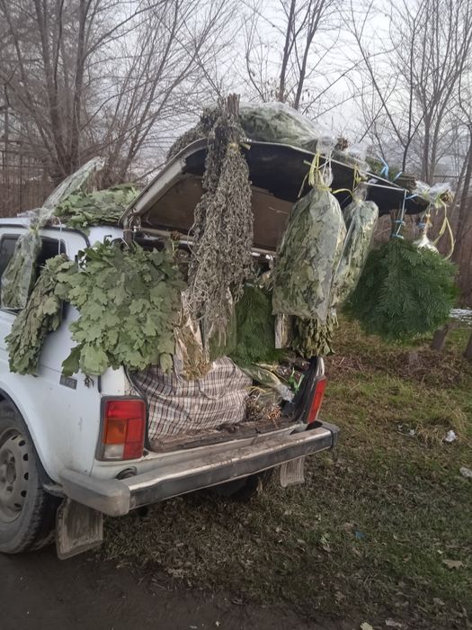 Продам веники и лечебные травы