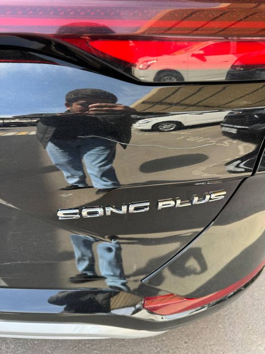 Byd chempion gibrid 2025 probegli