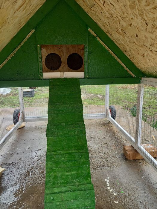 Мини курятник. Клетка