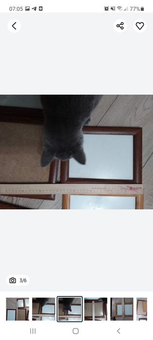 Рамки 5 большие и 2 маленькие за всё 50000сум