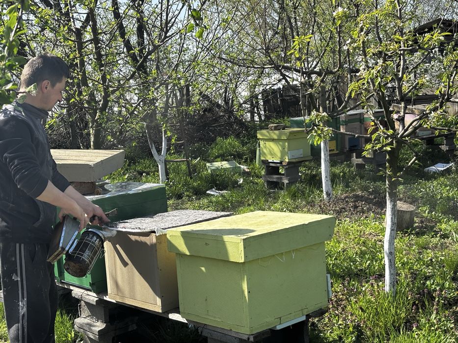 Miere naturală, BIO, de calitate superioară – direct de la producător