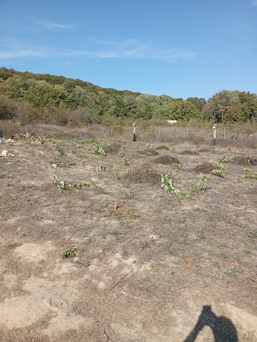 Продава се Земеделски имот в Варна, м-т Евксиноград -  кв.м за 33 €/дка - Снимка #7