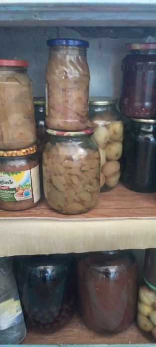 Компоты дачные фрукты