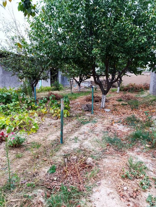 Hovli sotiladi 5 sotix Срочно Продаётся участок