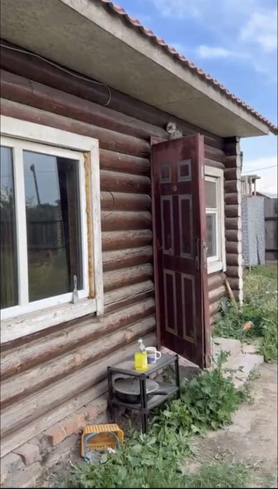 Две бани со сруба