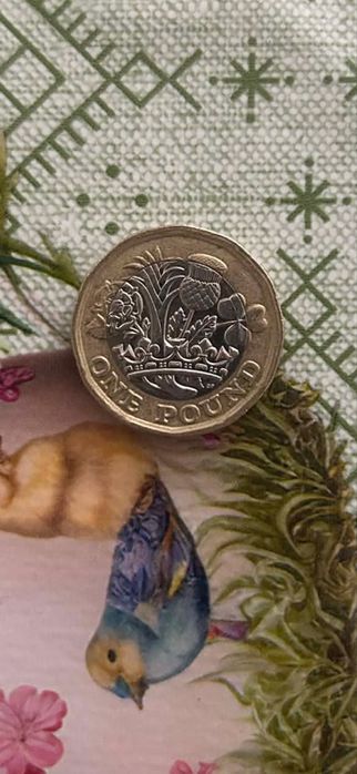 Монета 1 псунд 2017 год