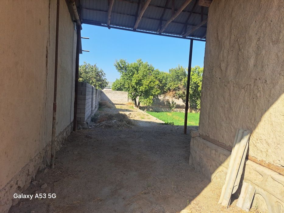 Uchastka 13 sotix Manzil:Buxoro viloyati Kogon tumani Xo'ja Yakshaba.