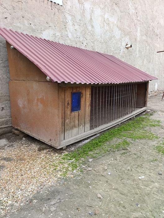 Товук ва кучук учун домик