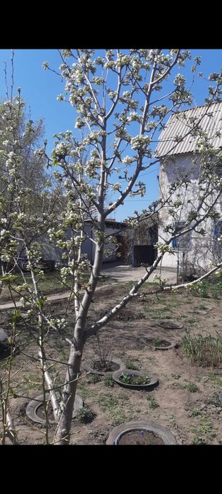 Продается дача, 2 этажа, 10 соток