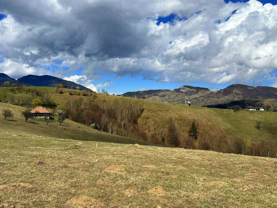 Teren Pestera 1550 mp, aproape de  Bran Moieciu