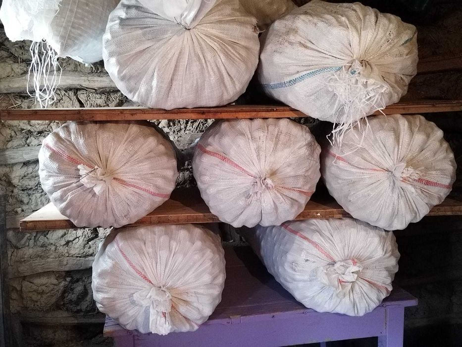 Vând nuci în coajă