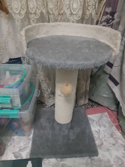 Lijanka yangi holatda