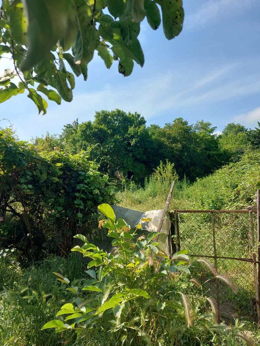 Двуетажна къща с 3500 кв. м. земя