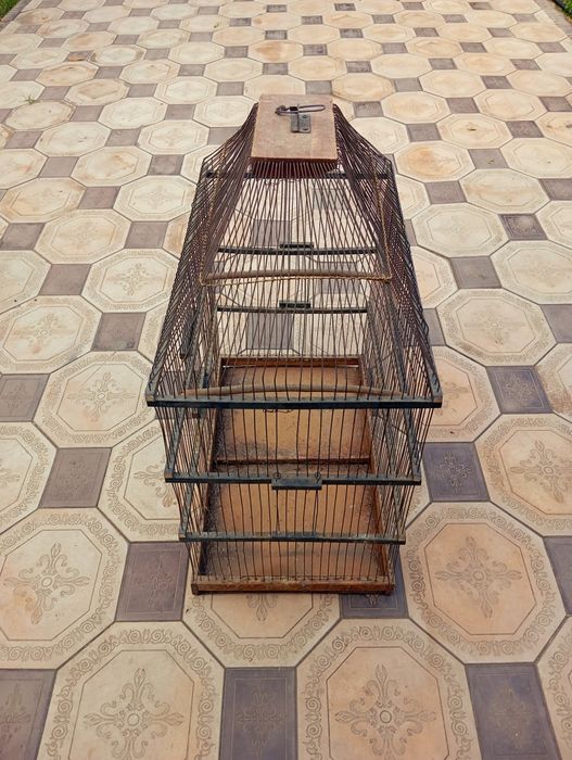 Қушлар учун қафас