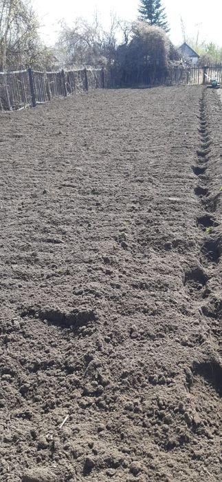 Вспашка дачь мотокультеватор.