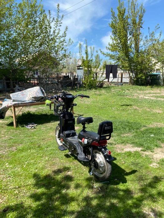 Наушинк тағы келісеміз