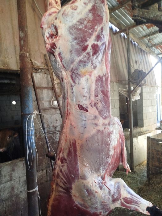 Вынужденый забой