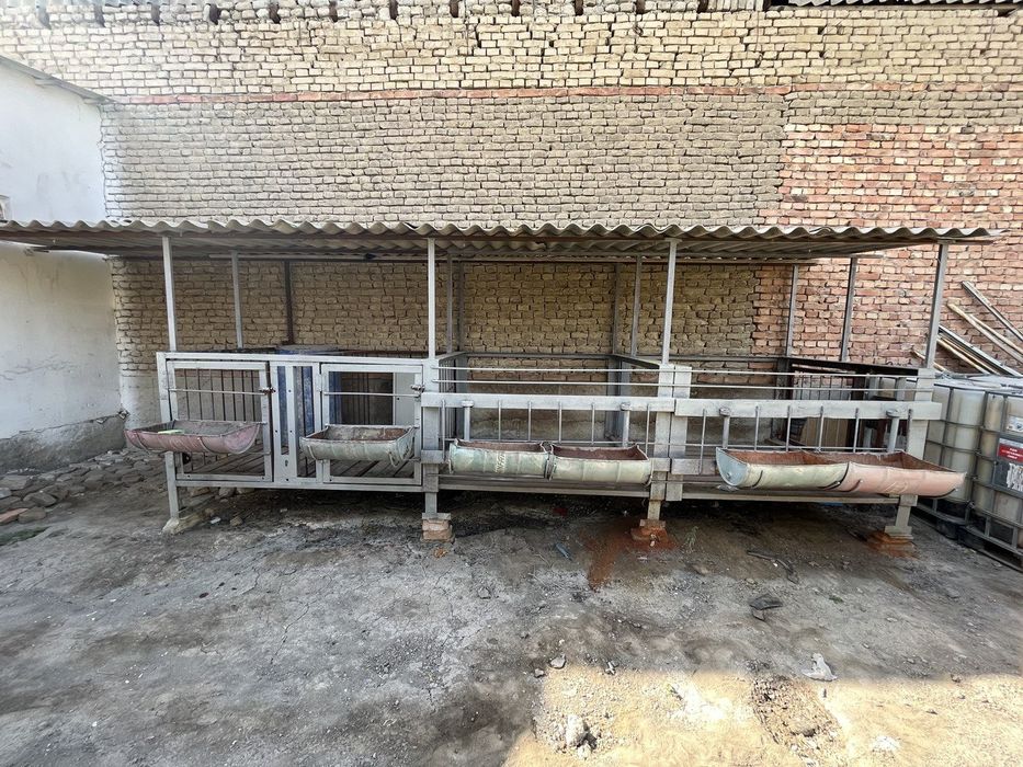 Qo'yxona, katak, sotiladi