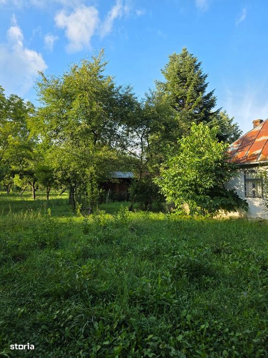 Teren 2500 Mp – Potențial Business / Dezvoltare – Breaza