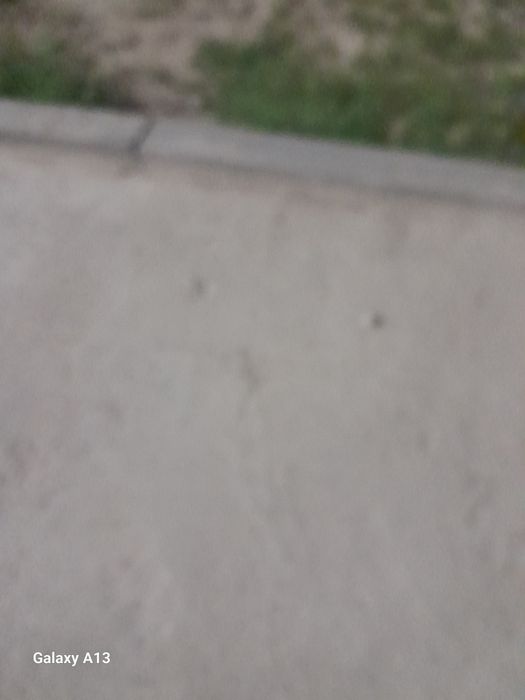 Леса бар хабарласыңыздар