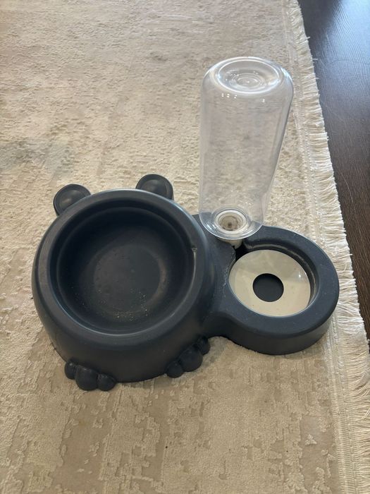 Для котенка бесплатно