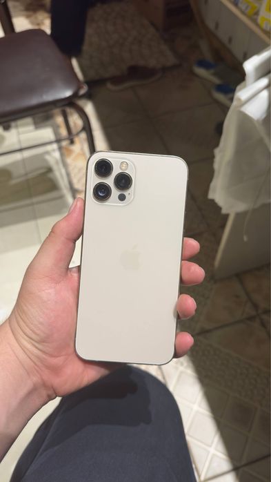 Iphone 12 Pro Max