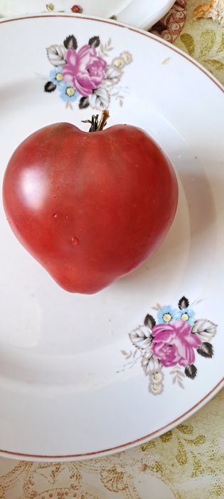 Коллекционные семена томатов