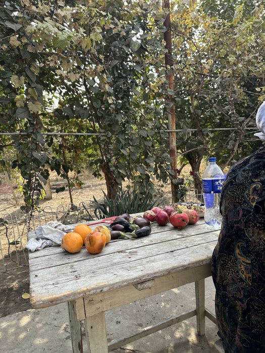 Дачный участок 9.6 соток