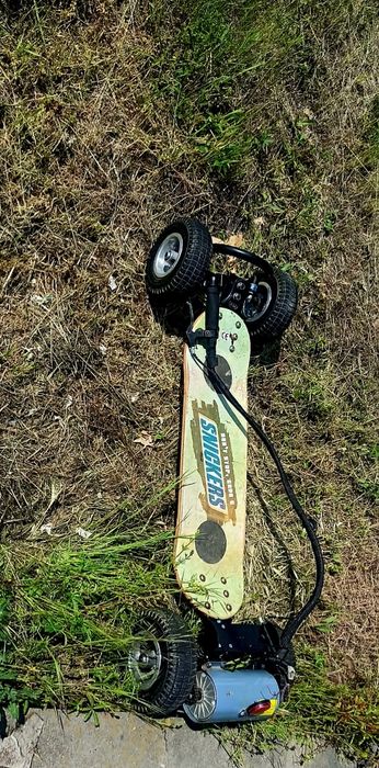 Skateboard electric