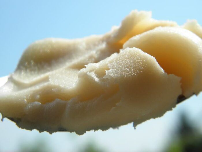 Страус,туякуш,острич,tuyaqush,straus,ostrich наслдор Африка туякушлари