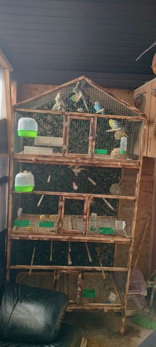 Voliera și păsări mici