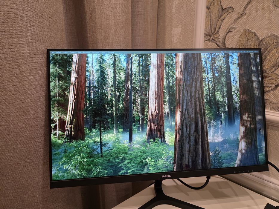 Монитор SANC M2453