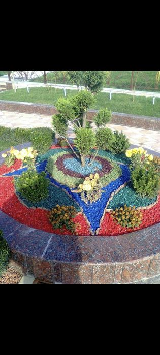 Газон афтоПалиф ландшафтный