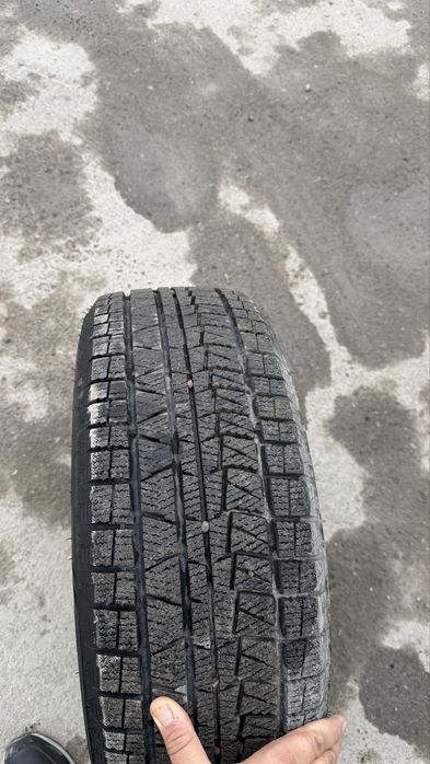 Шина с дисками..