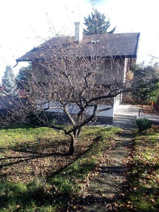 Подрязване на овощни дървета