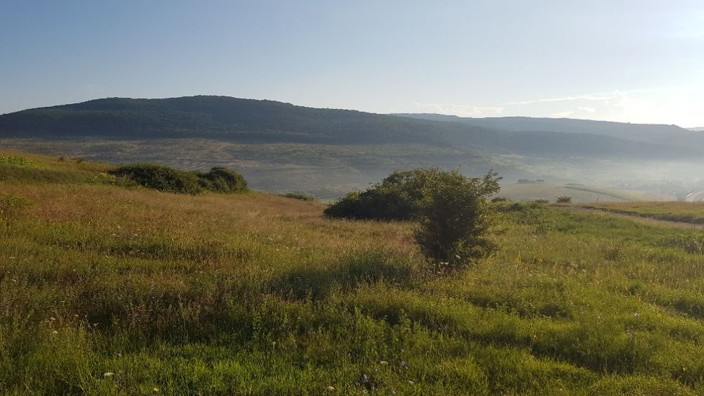 Vand 3750mp teren  cu PUZ,intravilan