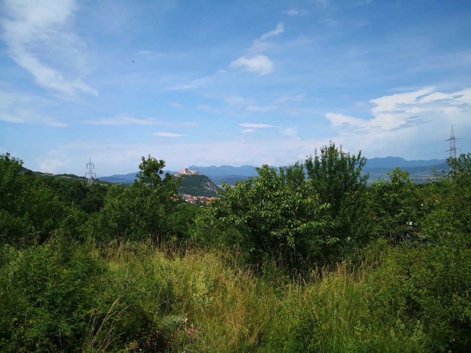 Teren intravilan 1.330 mp – Deva, zona Moș Opincă