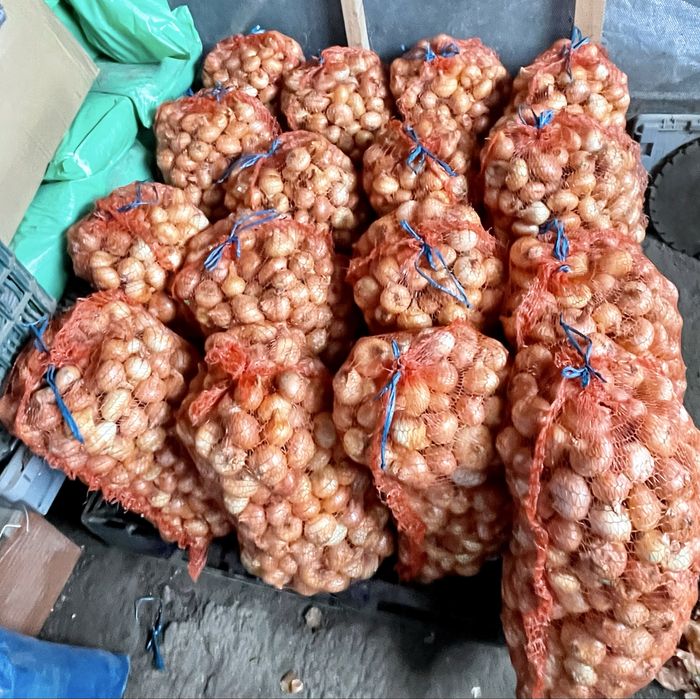 Vând ceapă galbenă pentru consum