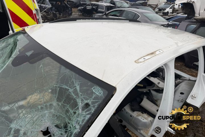 Plafon exterior / Cupola Volkswagen VW Tiguan 2 [facelift] AD1 [2020