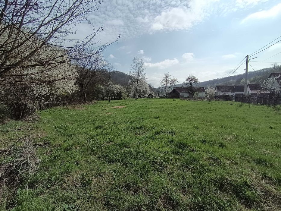 Tern cu casa bătrânească de vânzare