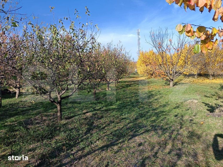 Teren Intravilan 3325 mp Magurele Prahova , Oportunitate !