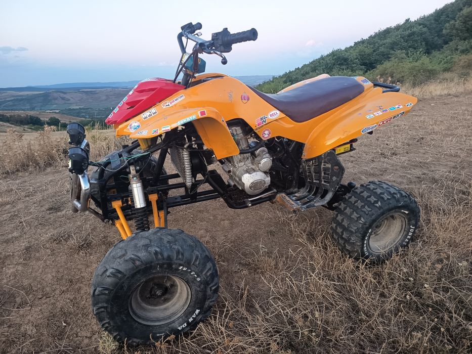 Bashan 250 cm  5+1
