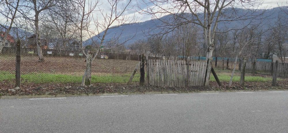 Teren Jiblea Noua -Călimănești