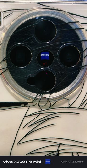 Vivo x200 pro mini