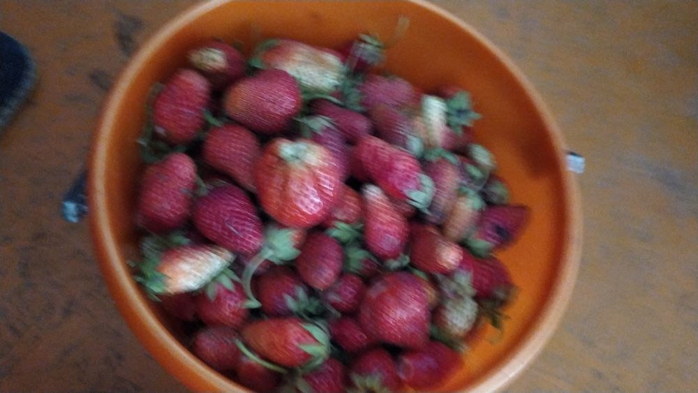 Продам варенье ягоды выращенные на даче.