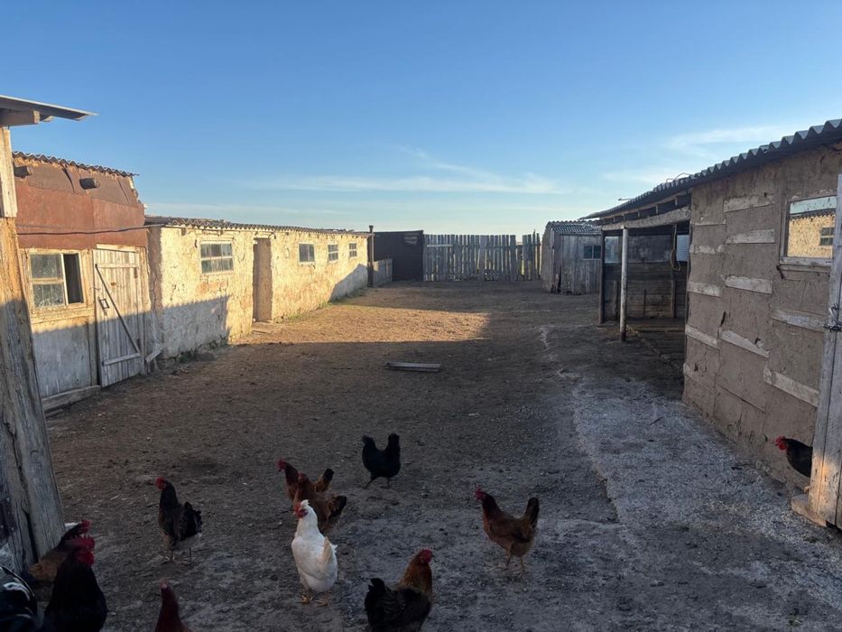 Продам большой дом